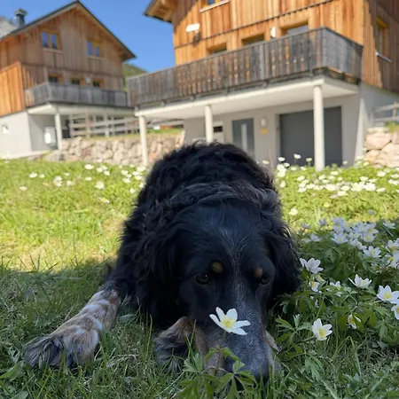 Hideaway Loser - 3 By Aa Homes Altaussee